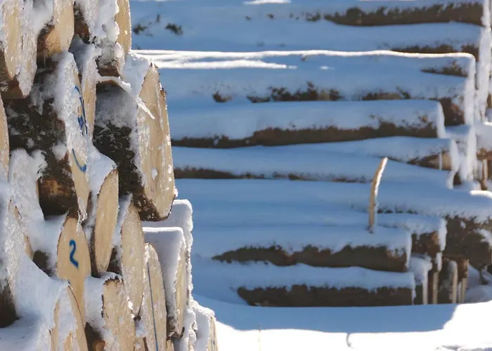 Alojamento de Acomodação e Pequeno-almoço Bed & Breakfast Winterberg Winterberg