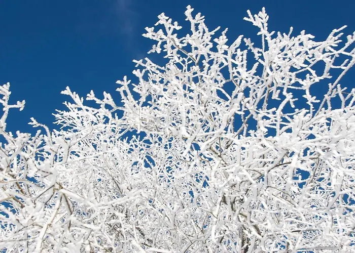 Bed & Breakfast Winterberg Alojamento de Acomodação e Pequeno-almoço