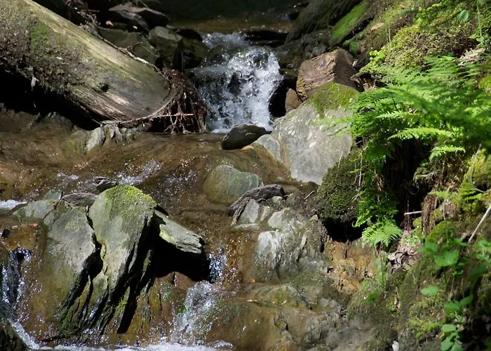 Bed & Breakfast Winterberg Alojamento de Acomodação e Pequeno-almoço Winterberg